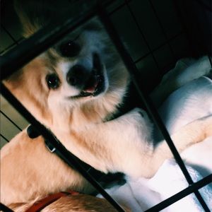 Meet your Posher, Ciara